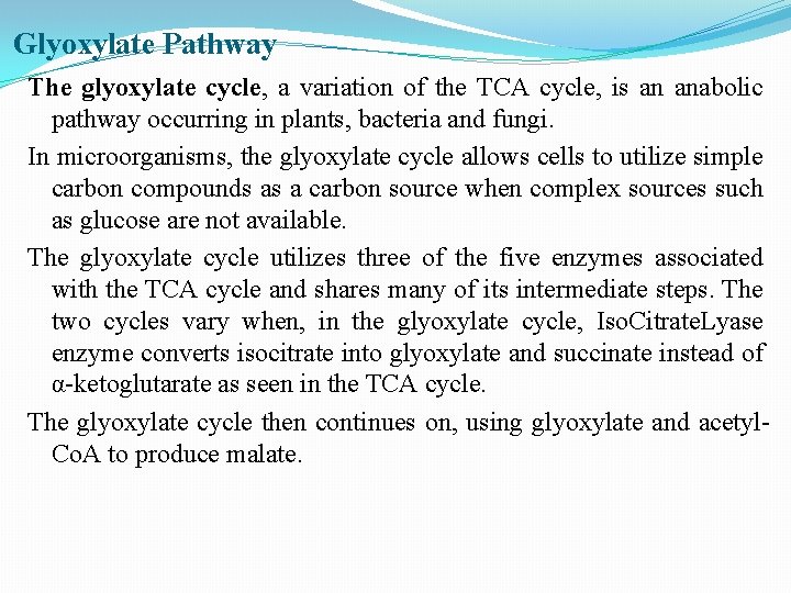 Glyoxylate Pathway The glyoxylate cycle, a variation of the TCA cycle, is an anabolic