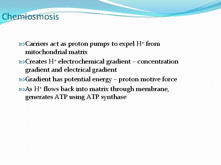 Chemiosmosis Carriers act as proton pumps to expel H+ from mitochondrial matrix Creates H+