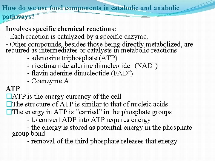 How do we use food components in catabolic and anabolic pathways? Involves specific chemical