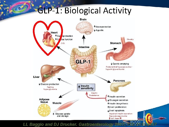 Glp 1 And Fasting For Improved Insulin Resistance