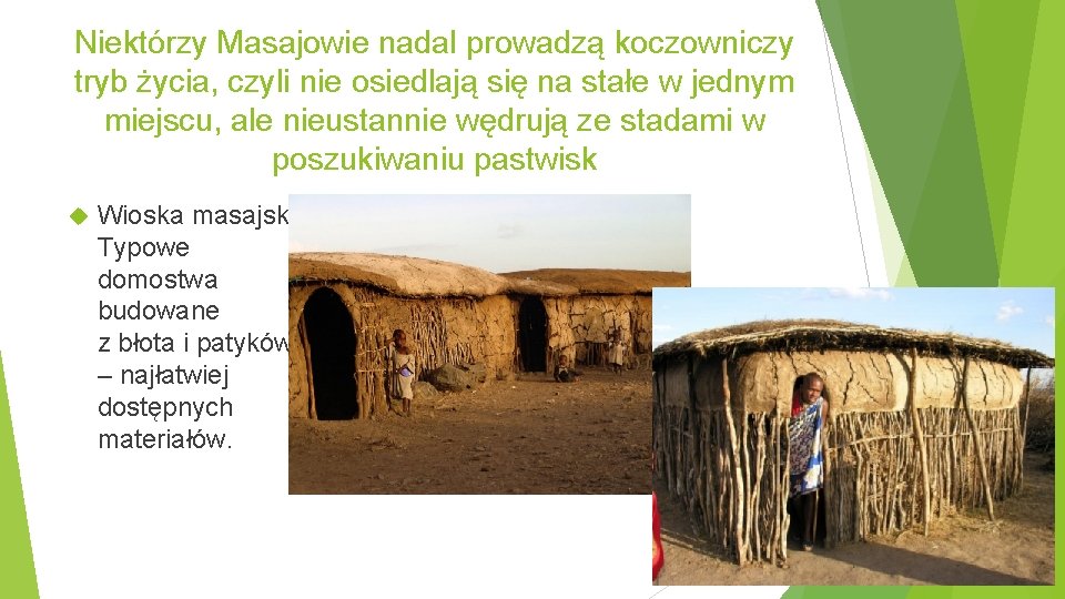 Niektórzy Masajowie nadal prowadzą koczowniczy tryb życia, czyli nie osiedlają się na stałe w