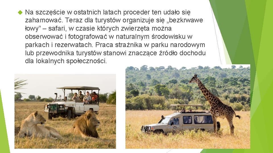  Na szczęście w ostatnich latach proceder ten udało się zahamować. Teraz dla turystów
