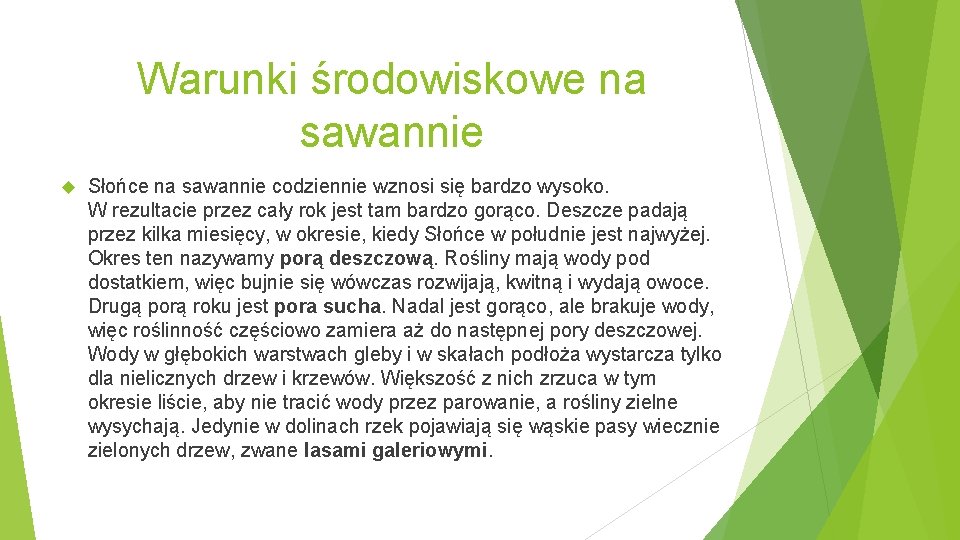 Warunki środowiskowe na sawannie Słońce na sawannie codziennie wznosi się bardzo wysoko. W rezultacie