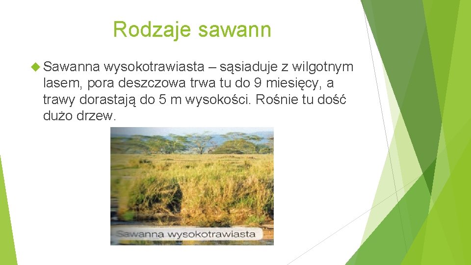 Rodzaje sawann Sawanna wysokotrawiasta – sąsiaduje z wilgotnym lasem, pora deszczowa trwa tu do