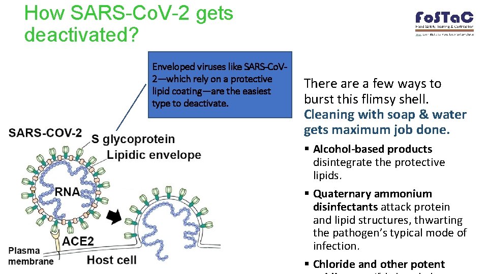 How SARS-Co. V-2 gets deactivated? Enveloped viruses like SARS-Co. V 2—which rely on a