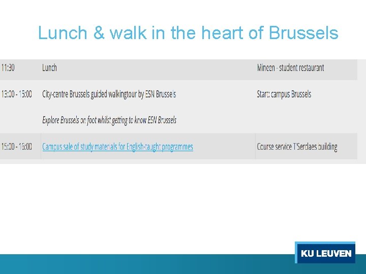 Lunch & walk in the heart of Brussels 