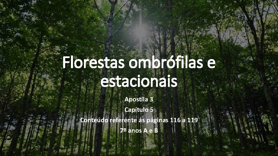 Florestas ombrófilas e estacionais Apostila 3 Capítulo 5 Conteúdo referente ás páginas 116 a
