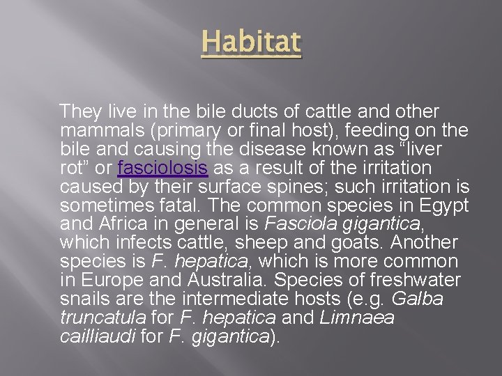 Habitat They live in the bile ducts of cattle and other mammals (primary or