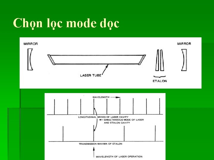 Chọn lọc mode dọc 