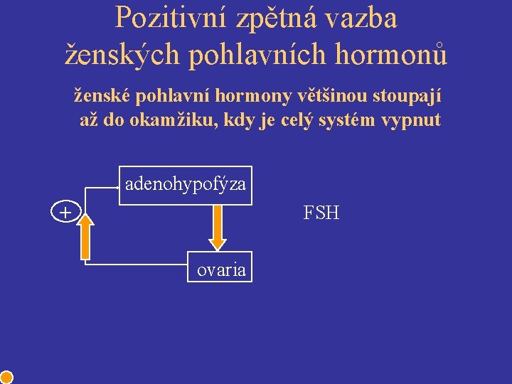 Pozitivní zpětná vazba ženských pohlavních hormonů ženské pohlavní hormony většinou stoupají až do okamžiku,