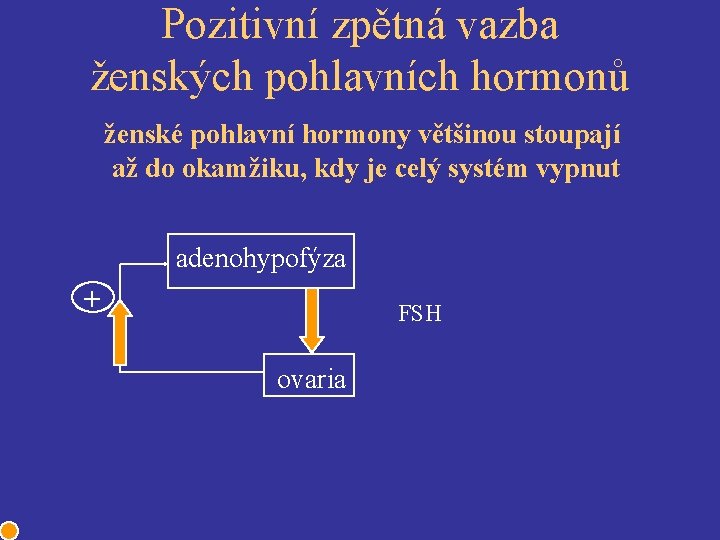 Pozitivní zpětná vazba ženských pohlavních hormonů ženské pohlavní hormony většinou stoupají až do okamžiku,