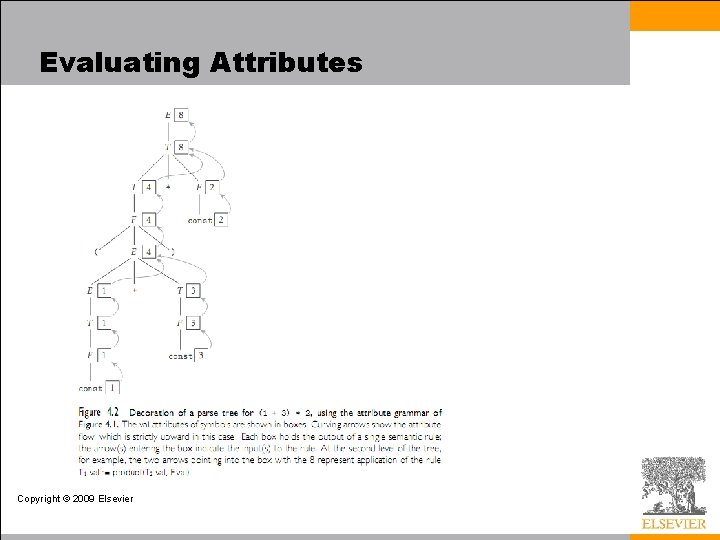 Evaluating Attributes Copyright © 2009 Elsevier 