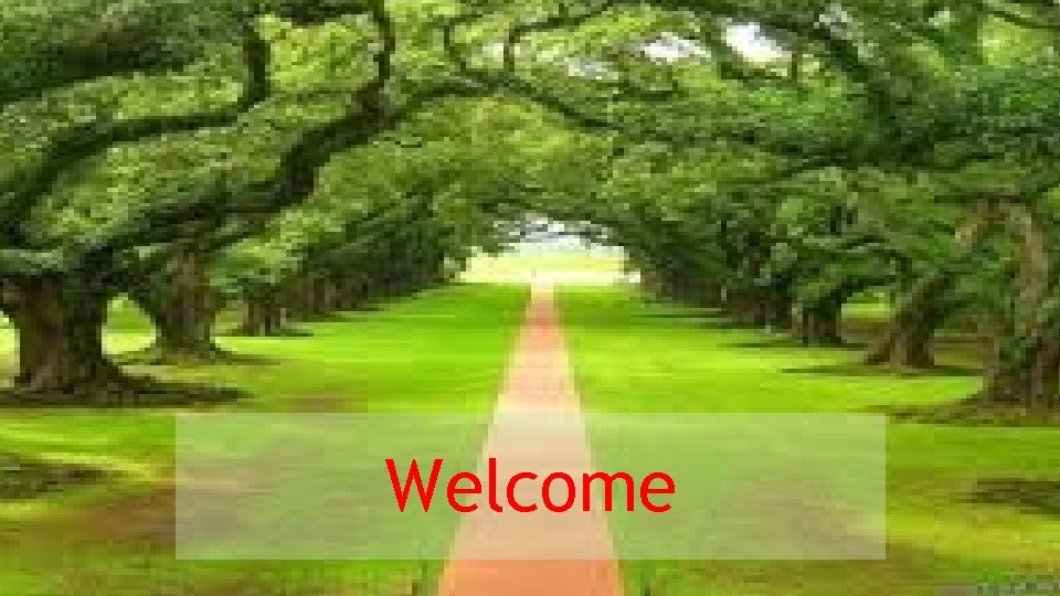 Welcome 