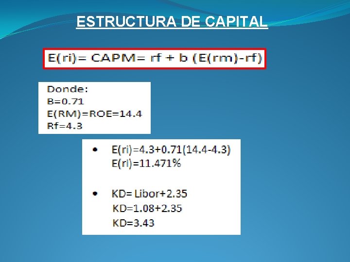 ESTRUCTURA DE CAPITAL 