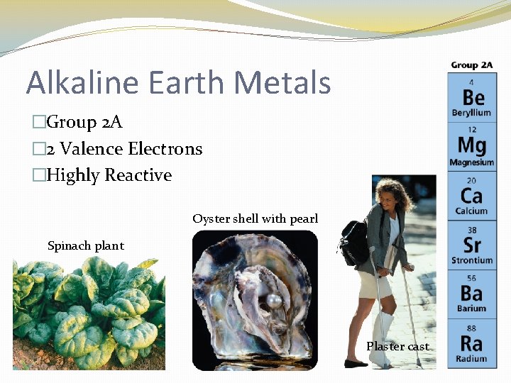 Alkaline Earth Metals �Group 2 A � 2 Valence Electrons �Highly Reactive Oyster shell
