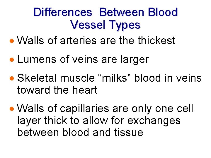 Differences Between Blood Vessel Types · Walls of arteries are thickest · Lumens of