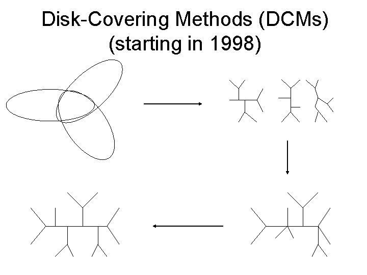 Disk-Covering Methods (DCMs) (starting in 1998) 