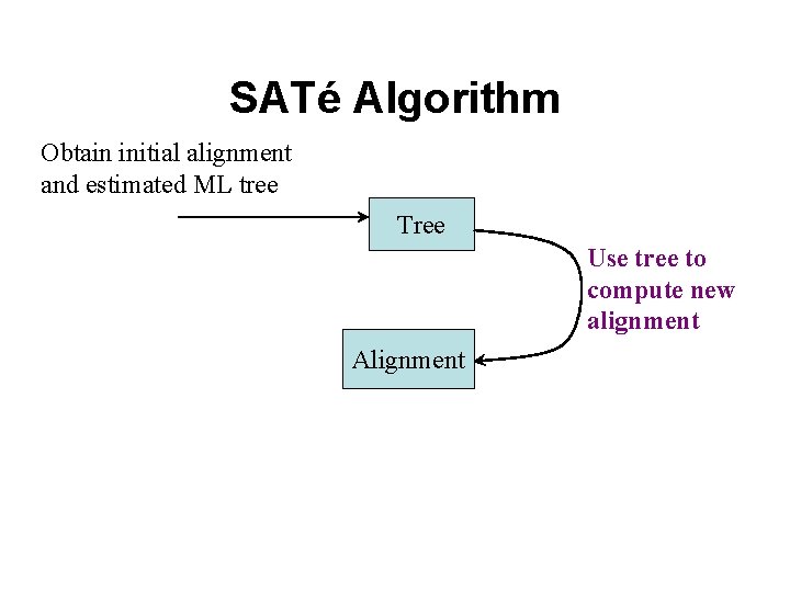 SATé Algorithm Obtain initial alignment and estimated ML tree Tree Use tree to compute