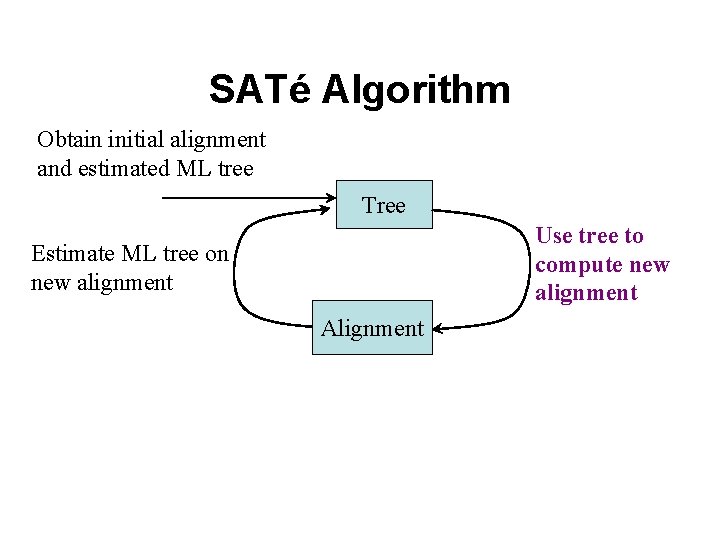 SATé Algorithm Obtain initial alignment and estimated ML tree Tree Use tree to compute