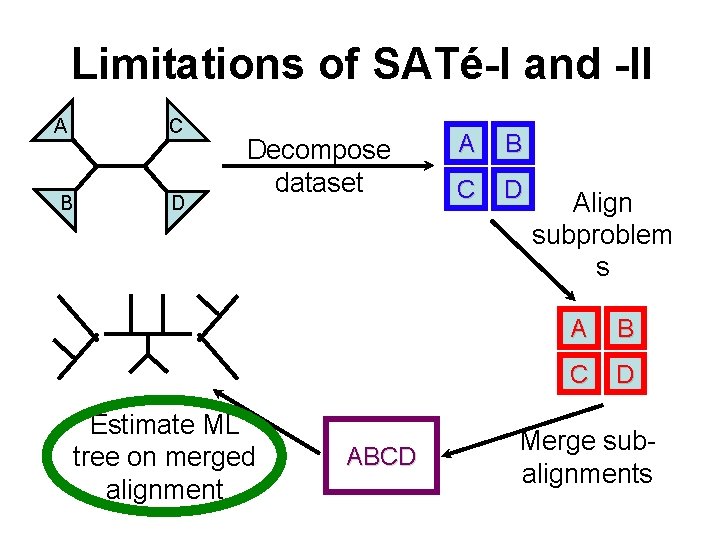 Limitations of SATé-I and -II C A B D Decompose dataset Estimate ML tree