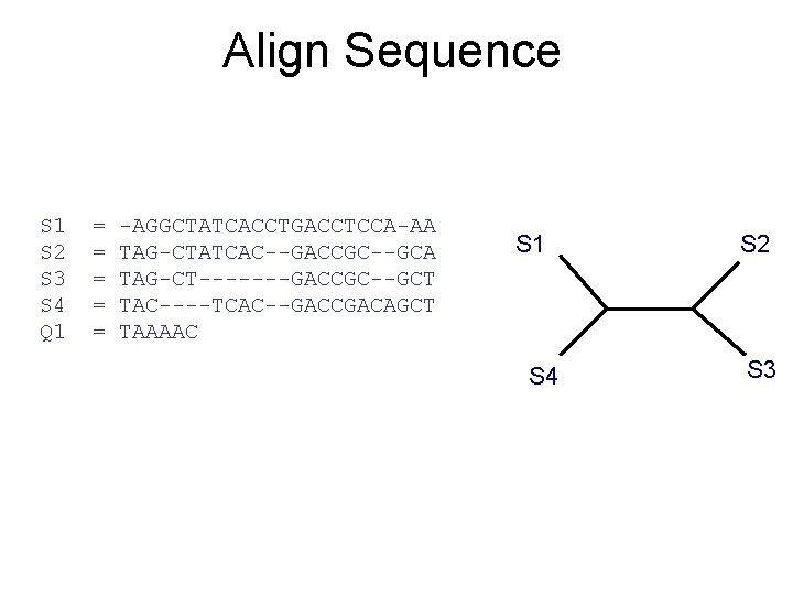 Align Sequence S 1 S 2 S 3 S 4 Q 1 = =