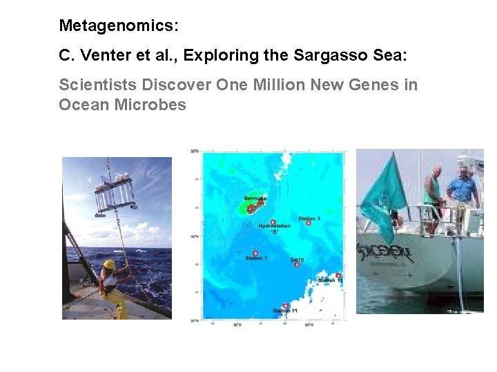 Metagenomics: C. Venter et al. , Exploring the Sargasso Sea: Scientists Discover One Million