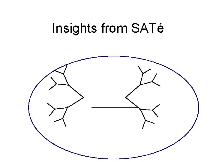 Insights from SATé 