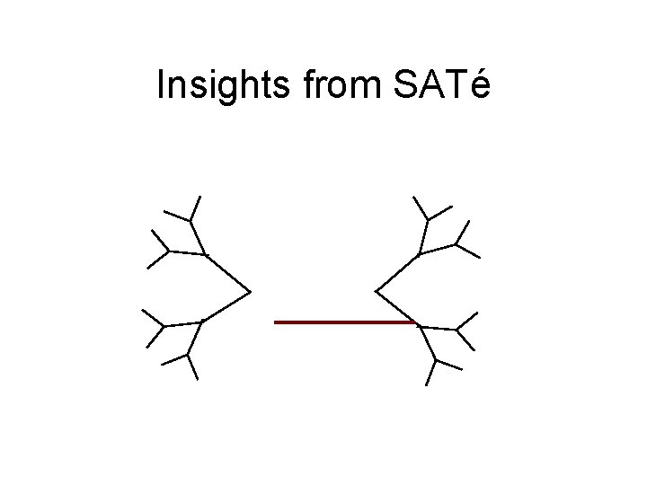 Insights from SATé 