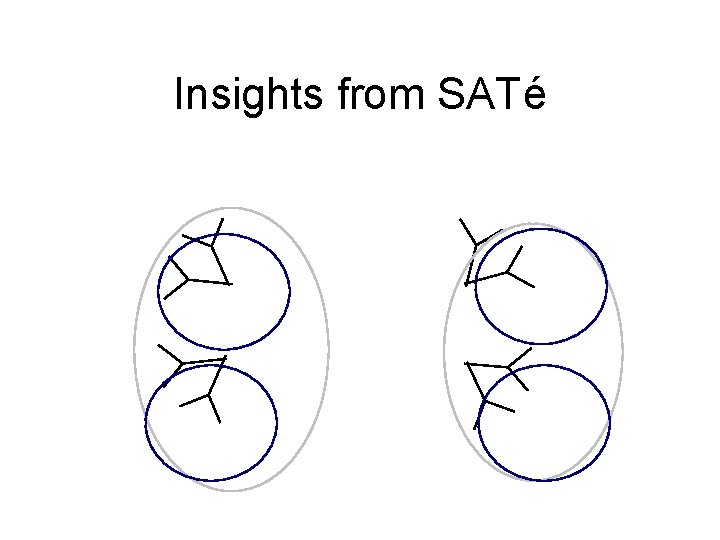 Insights from SATé 