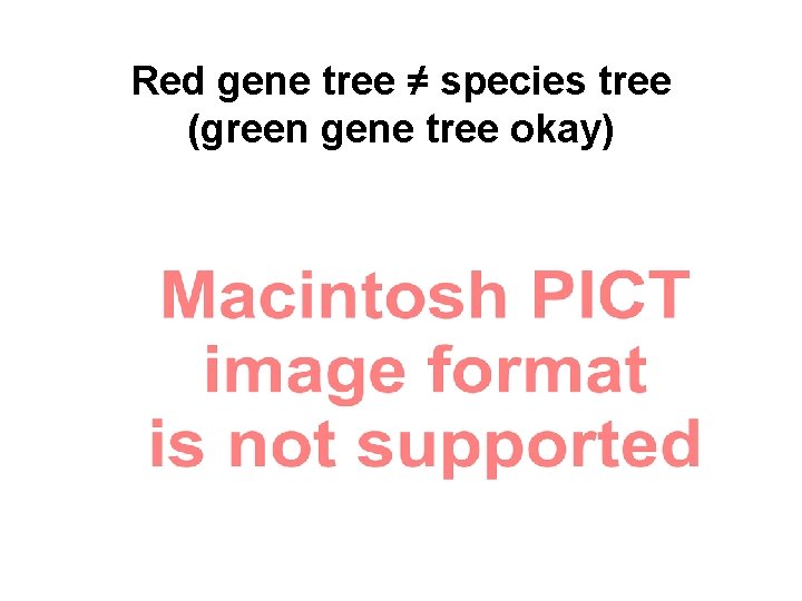 Red gene tree ≠ species tree (green gene tree okay) 