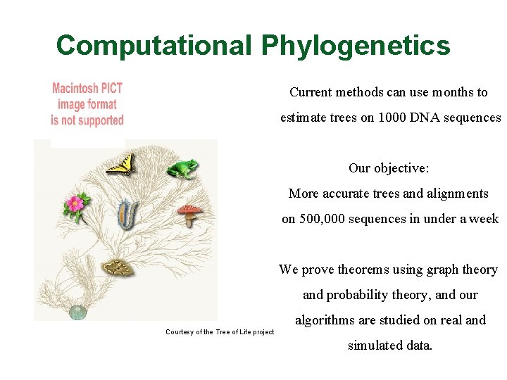 Computational Phylogenetics Current methods can use months to estimate trees on 1000 DNA sequences