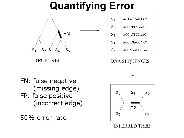 Quantifying Error FN FN: false negative (missing edge) FP: false positive (incorrect edge) 50%