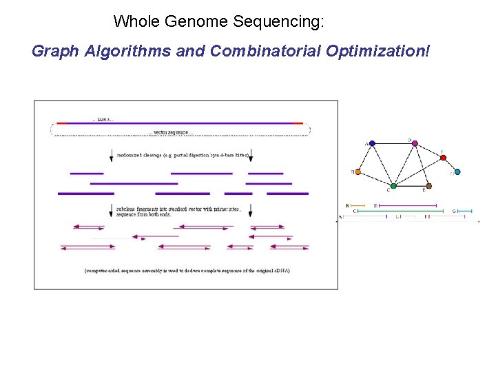 Whole Genome Sequencing: Graph Algorithms and Combinatorial Optimization! 