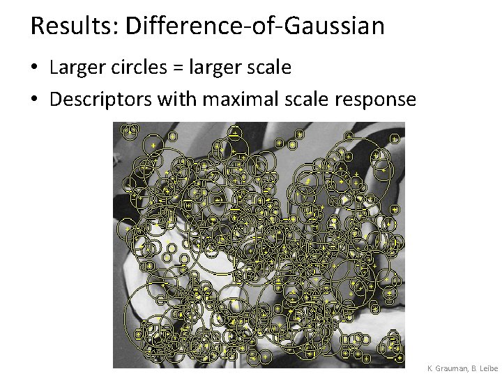 Results: Difference-of-Gaussian • Larger circles = larger scale • Descriptors with maximal scale response