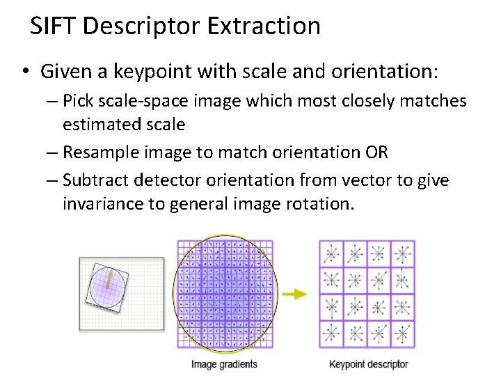 SIFT Descriptor Extraction • Given a keypoint with scale and orientation: – Pick scale-space