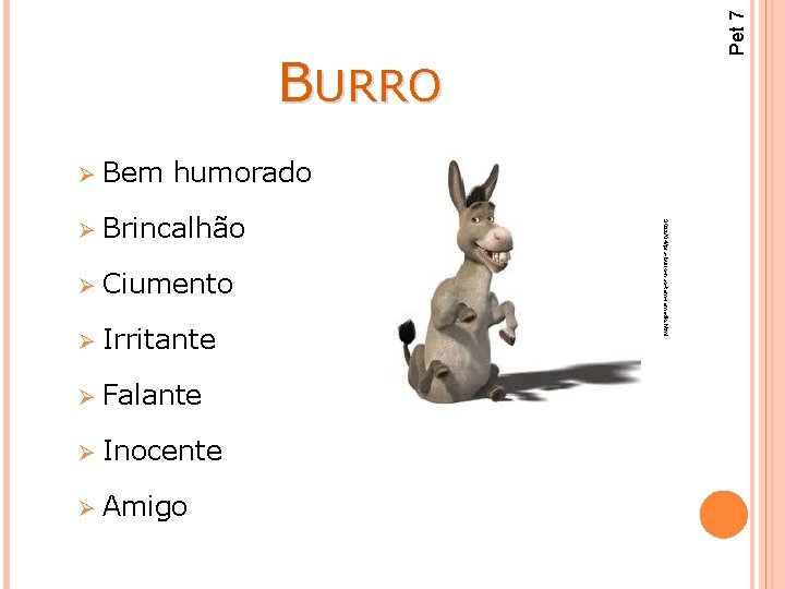 Pet 7 BURRO Ø Bem humorado Ø Ciumento Ø Irritante Ø Falante Ø Inocente