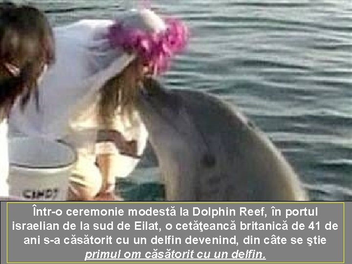 Într-o ceremonie modestă la Dolphin Reef, în portul israelian de la sud de Eilat,