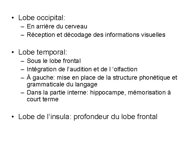  • Lobe occipital: – En arrière du cerveau – Réception et décodage des