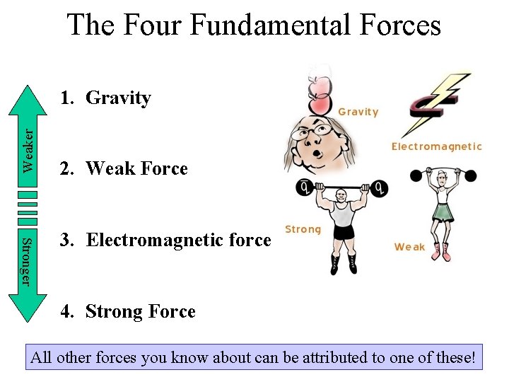 The Four Fundamental Forces Weaker 1. Gravity 2. Weak Force Stronger 3. Electromagnetic force