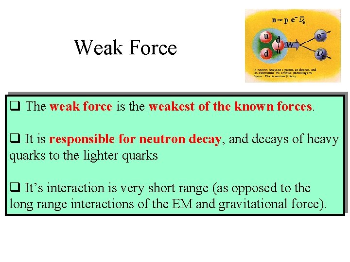 Weak Force q The weak force is the weakest of the known forces. q