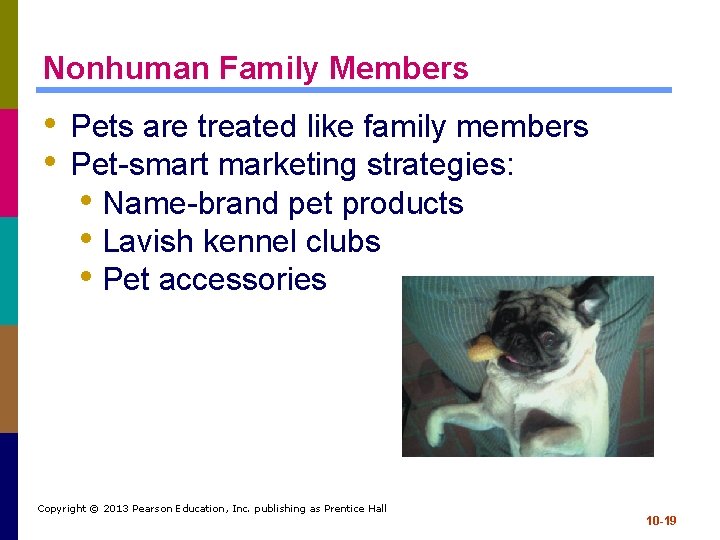 Nonhuman Family Members • Pets are treated like family members • Pet-smart marketing strategies: