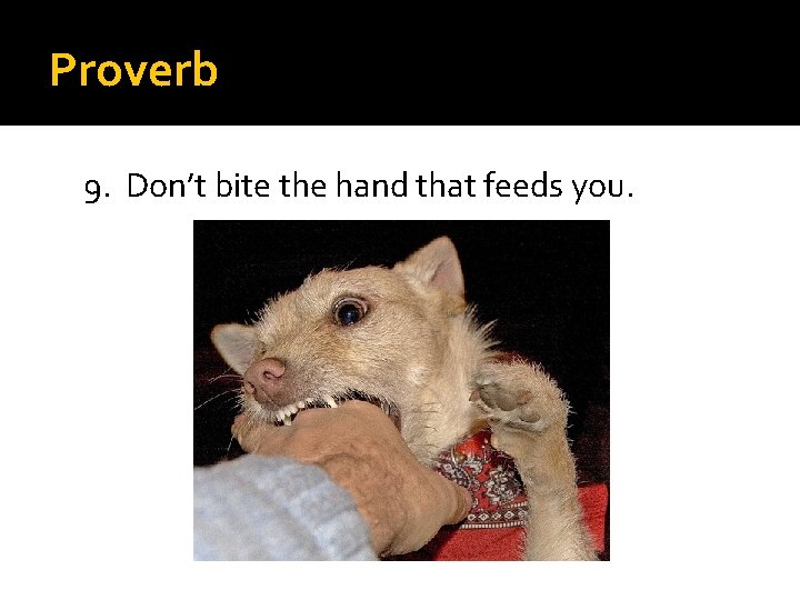 Proverb 9. Don’t bite the hand that feeds you. 