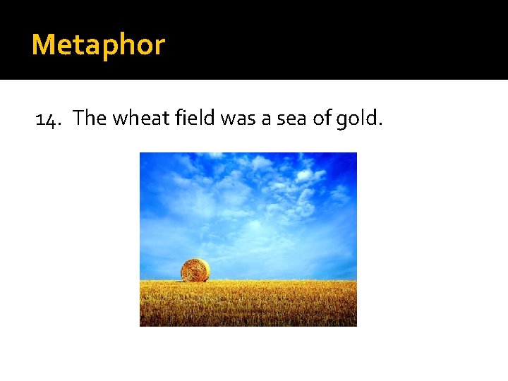 Metaphor 14. The wheat field was a sea of gold. 