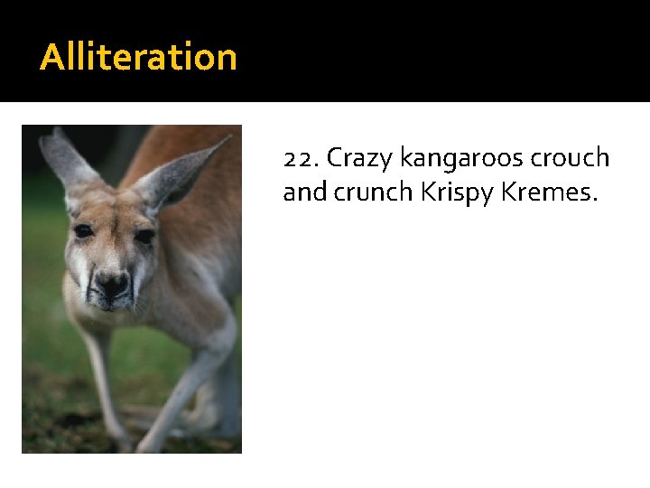 Alliteration 22. Crazy kangaroos crouch and crunch Krispy Kremes. 