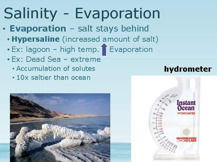 Salinity - Evaporation • Evaporation – salt stays behind • Hypersaline (increased amount of