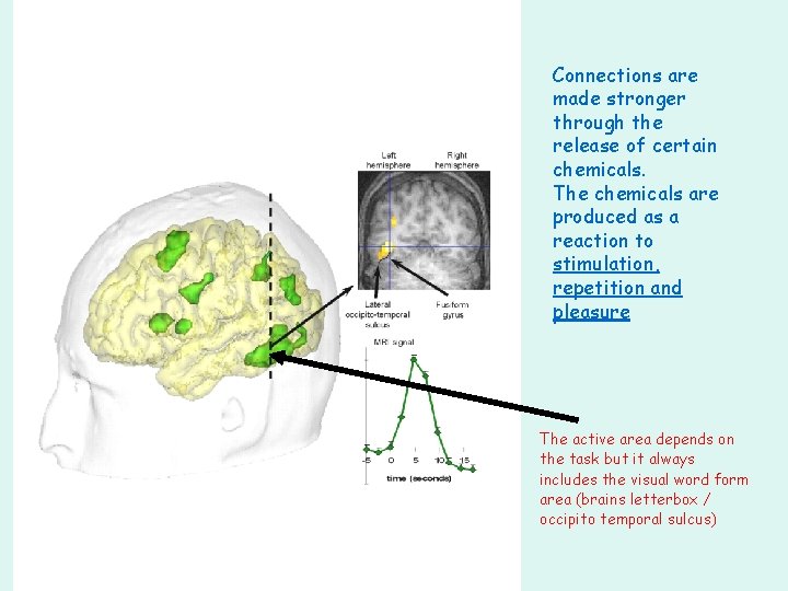 Connections are made stronger through the release of certain chemicals. The chemicals are produced Connections are made stronger through the release of certain chemicals. The chemicals are produced