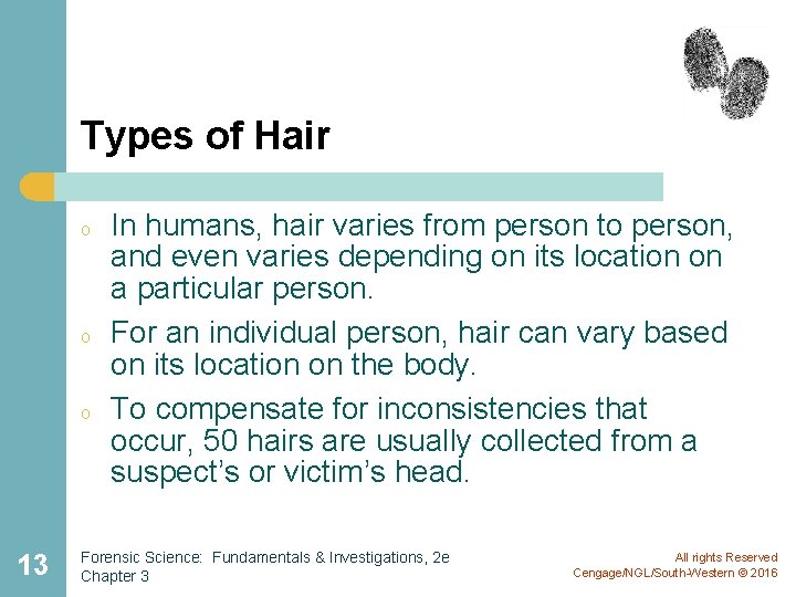 Types of Hair o o o 13 In humans, hair varies from person to