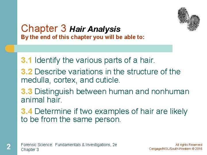 Chapter 3 Hair Analysis By the end of this chapter you will be able