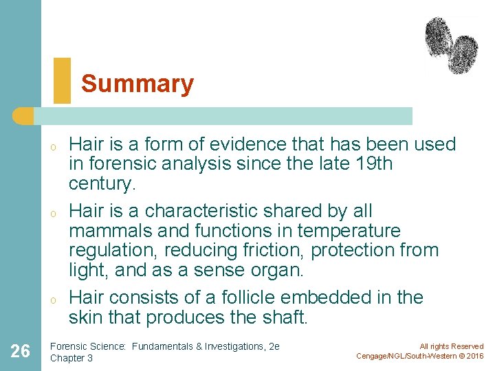 Summary o o o 26 Hair is a form of evidence that has been