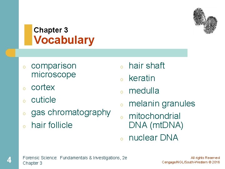 Chapter 3 Vocabulary o o o comparison microscope cortex cuticle gas chromatography hair follicle
